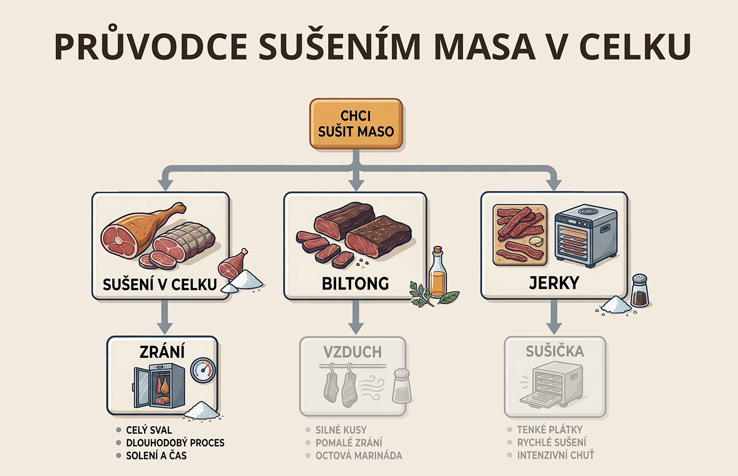 Úvod