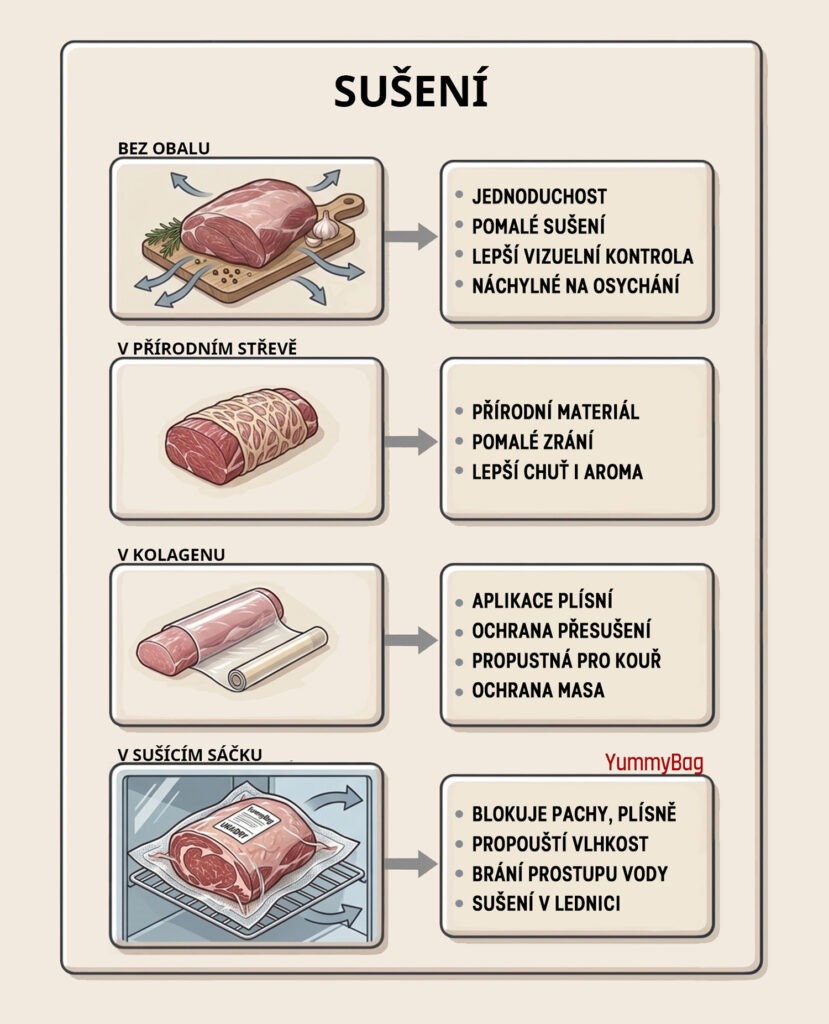 Sušení