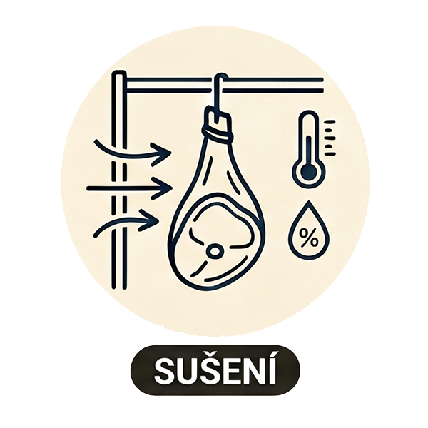Sušení